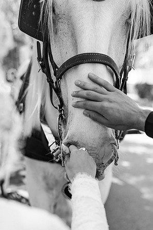 wedding-207