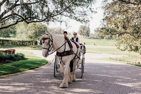 wedding-259