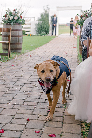 wedding-543