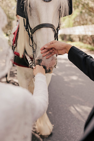 wedding-205