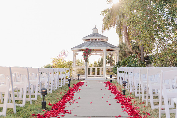 wedding-584