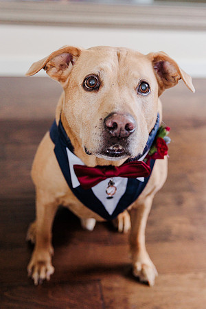 wedding-421