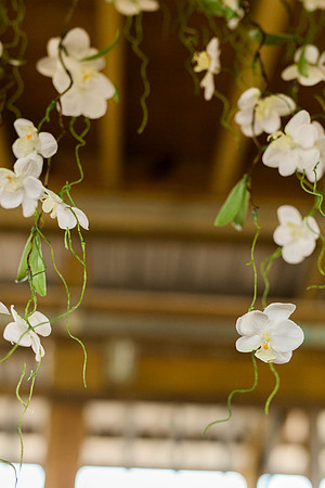 RLP-153