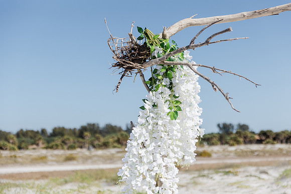 wedding-505