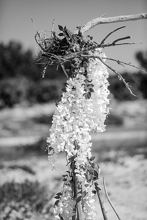 wedding-507