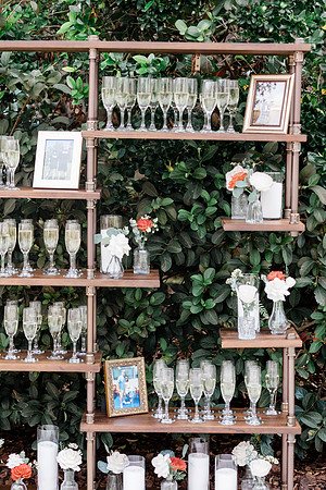 wedding (496 of 1462)