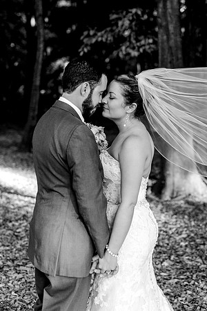 L&JP-899