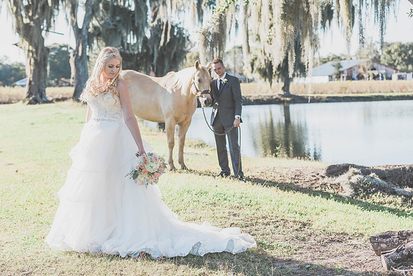 Ocala Wedding photographer & Videographer