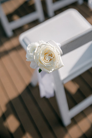 wedding-673