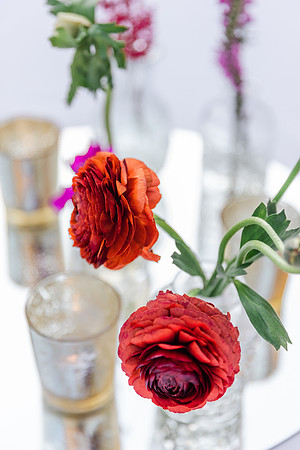 wedding-729
