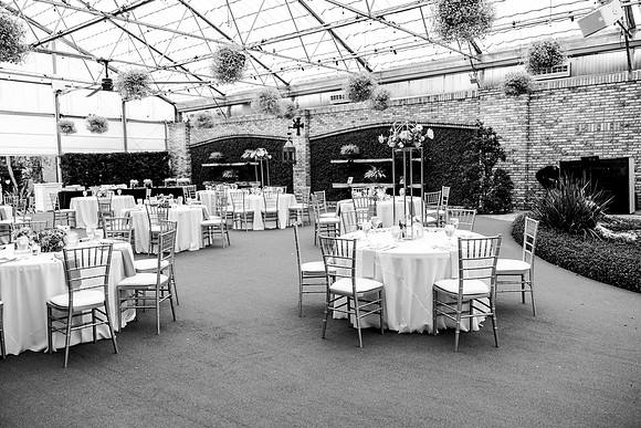 wedding-739