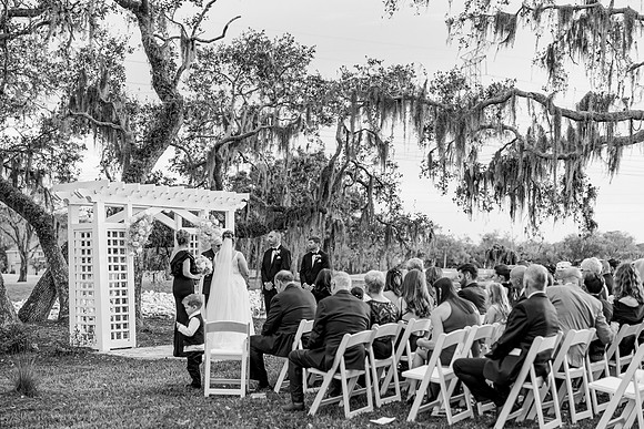 wedding-613