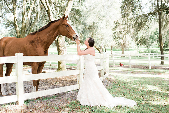 Horses in Weddings, Ocala wedding photographer