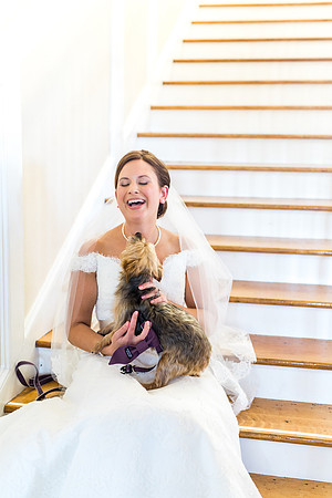 Pets in Weddings, International wedding photographer