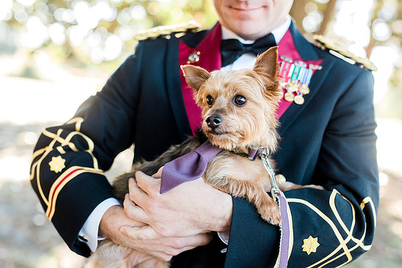 Pets in Weddings, International wedding photographer