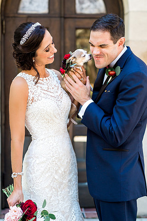 Pets in Weddings, International wedding photographer