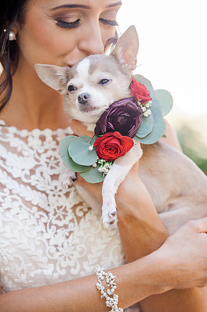 Pets in Weddings, International wedding photographer
