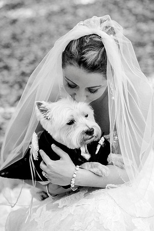 Pets in Weddings, International wedding photographer