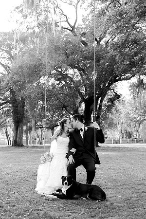 Pets in Weddings, International wedding photographer