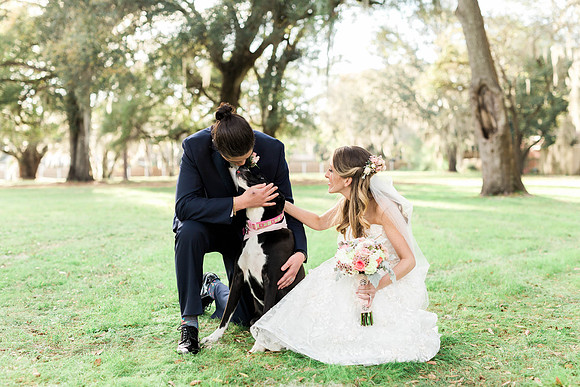 Dogs in weddings, Ocala wedding photographer