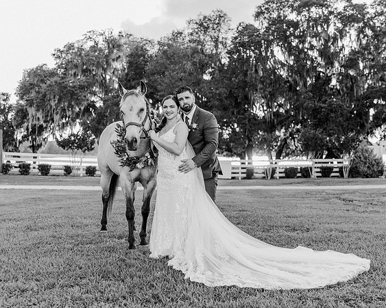wedding-957