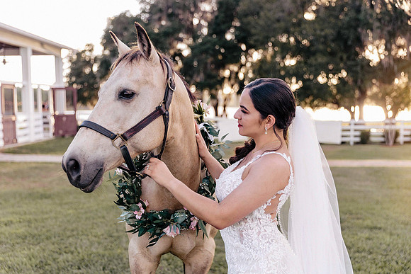 wedding-962