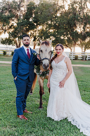 wedding-967