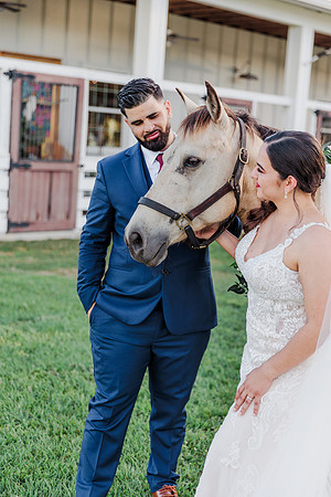 wedding-972