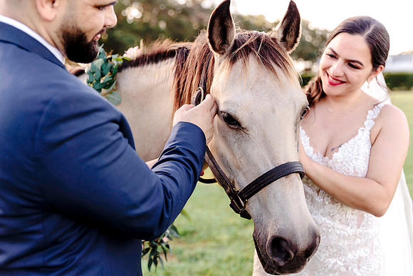 wedding-976