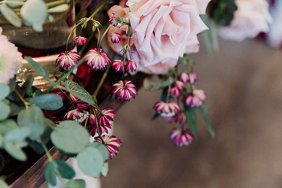 wedding-1013