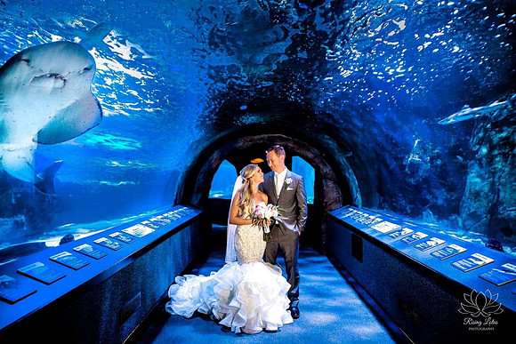 Award Winning Wedding Photography