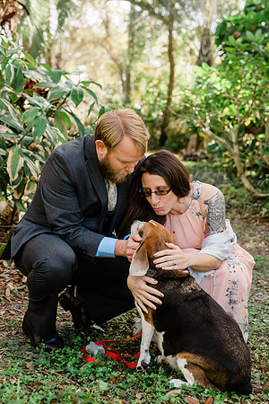 Dogs in weddings, Ocala wedding photographer