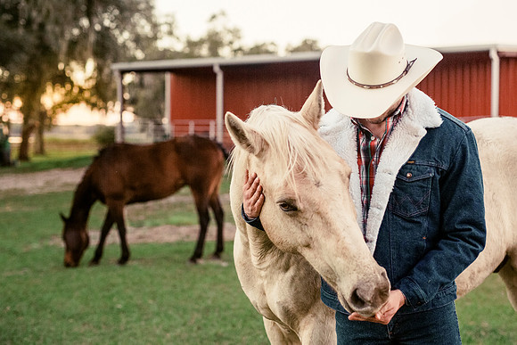 Horses
