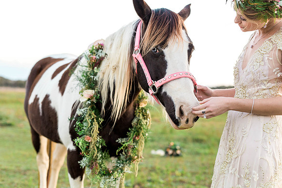 Ocala Wedding photographer & Videographer