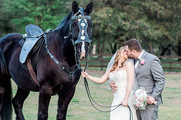 Pets in Weddings, International wedding photographer