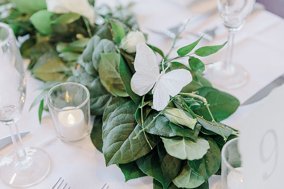 wedding-538