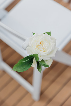 wedding-554