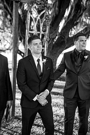 wedding-566