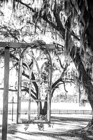 wedding-531