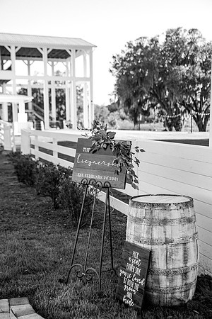 wedding-535