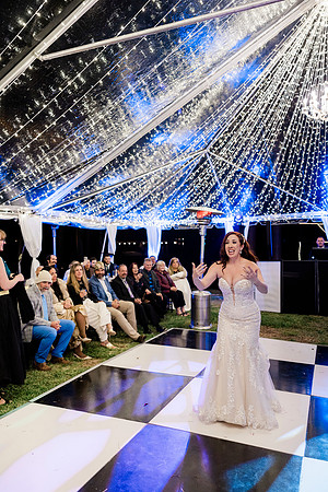 wedding (1220 of 1462)