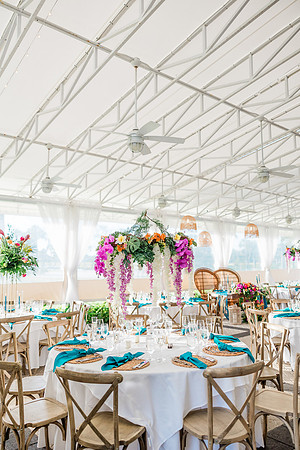 wedding-893