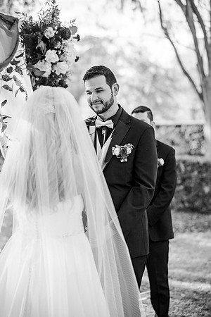 wedding-585