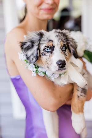 wedding-181