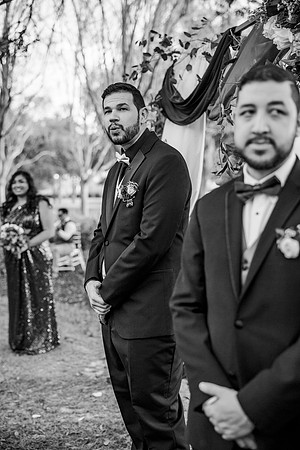 wedding-559