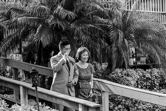 wedding-734