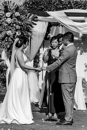 wedding-849