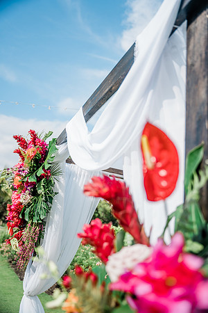 wedding-658