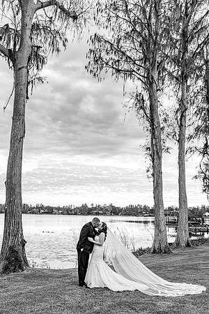 wedding (908 of 1462)