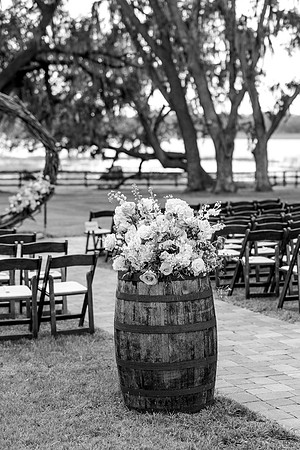 wedding-510